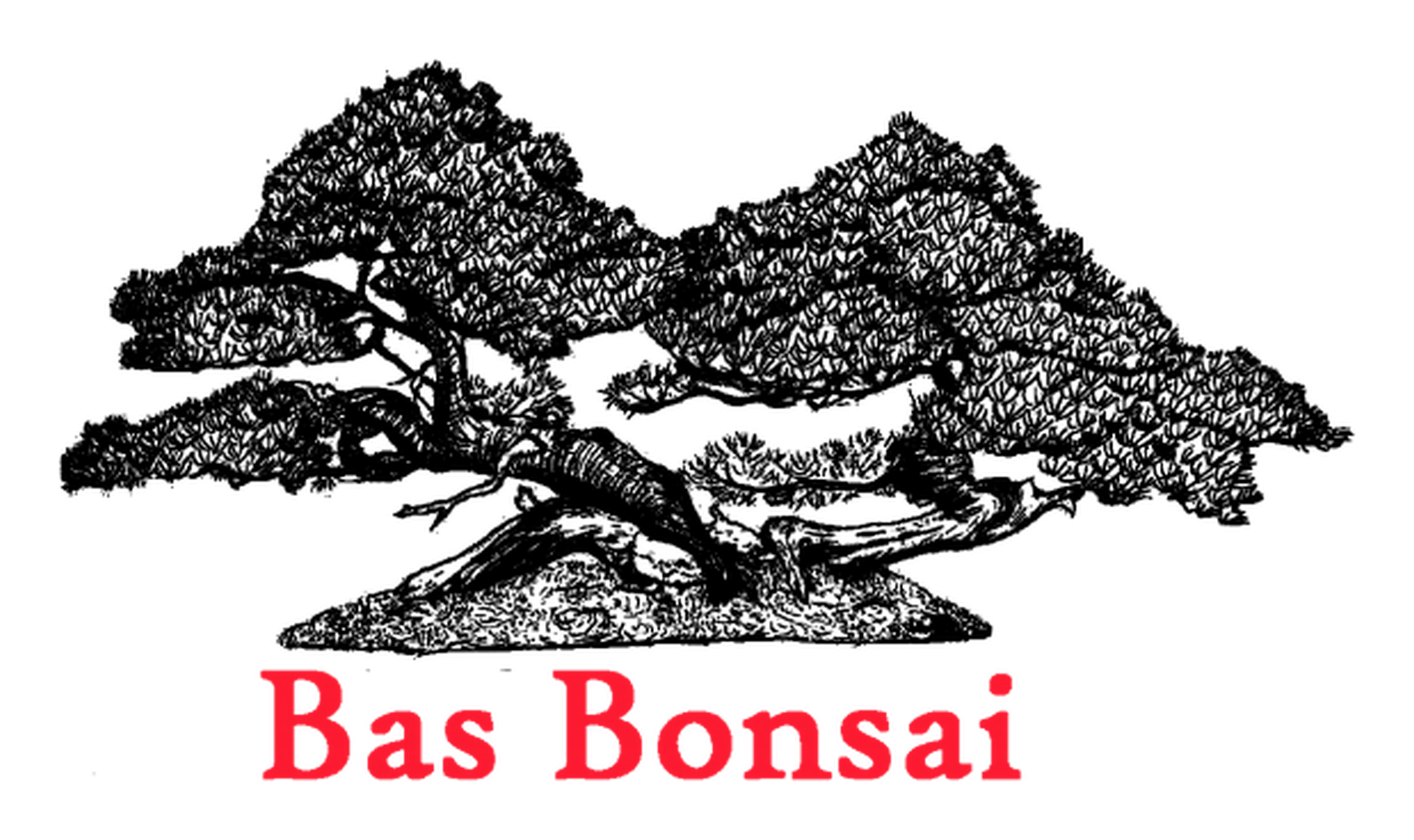 Bas Bonsai